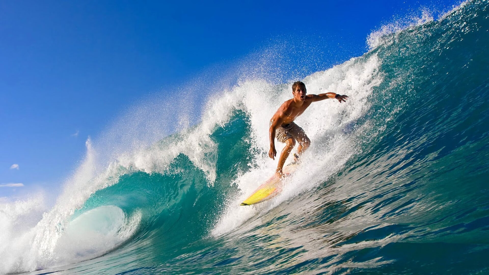 美国队决赛发挥稳定成赛场焦点，美国队比赛结果